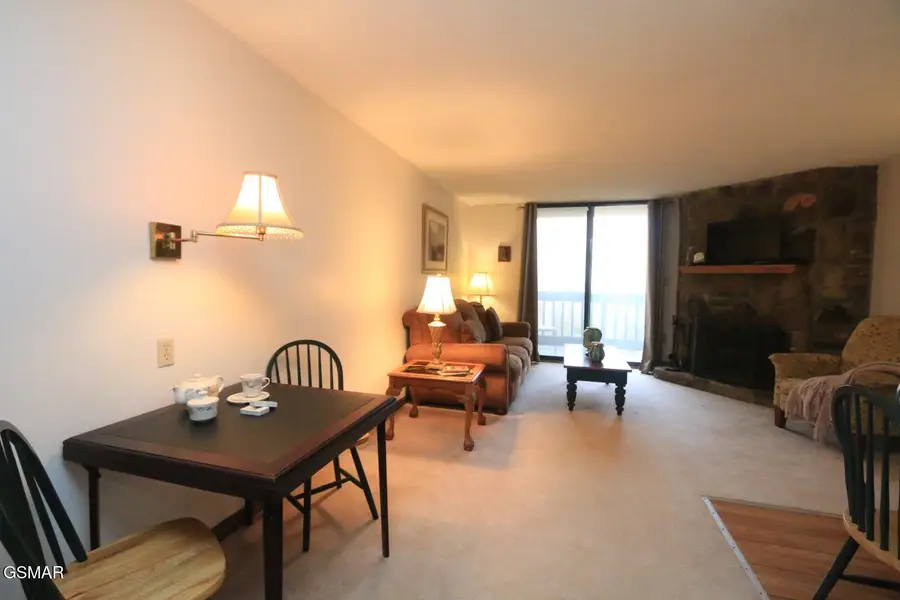 1435 Wiley Oakley Drive #APT 158, Gatlinburg, TN 37738 - Image #3