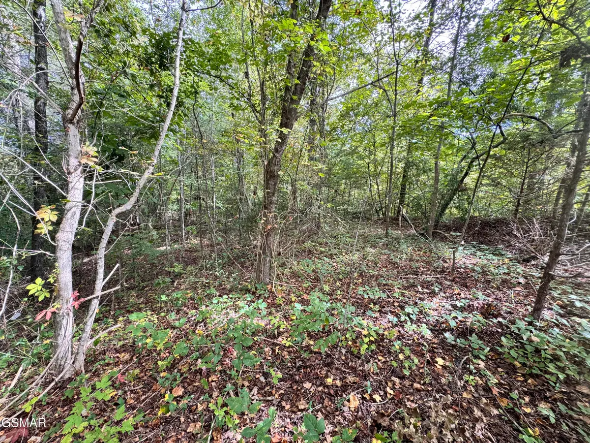 Lot 90 Owls Cove Way, Sevierville, TN 37862 - Image #1