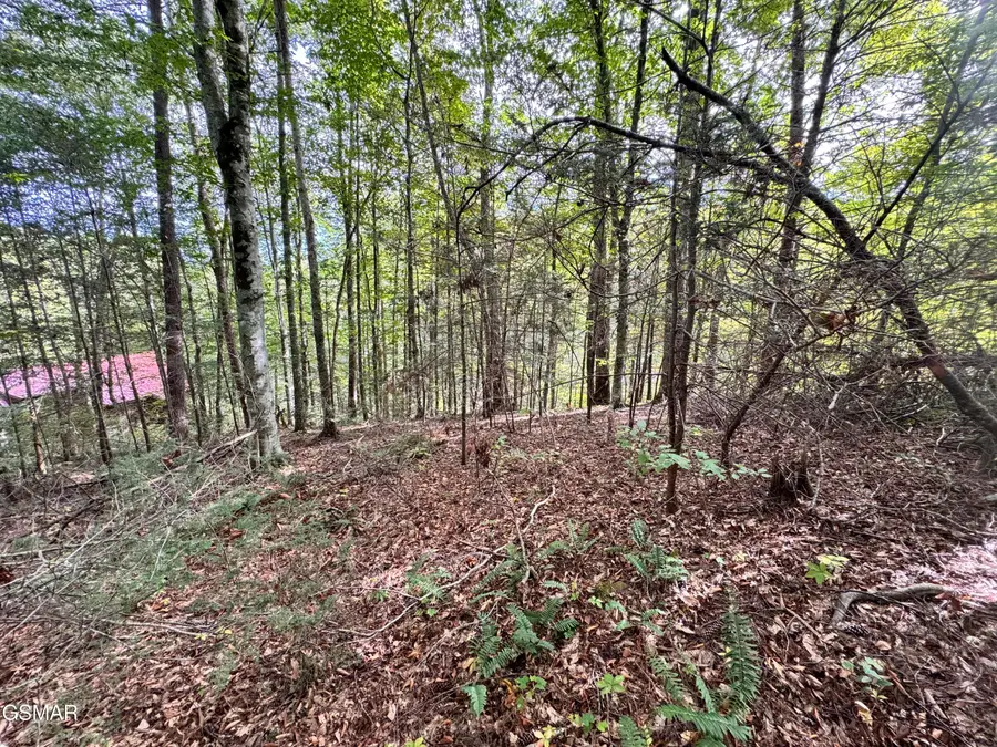 Lot 90 Owls Cove Way, Sevierville, TN 37862 - Image #3