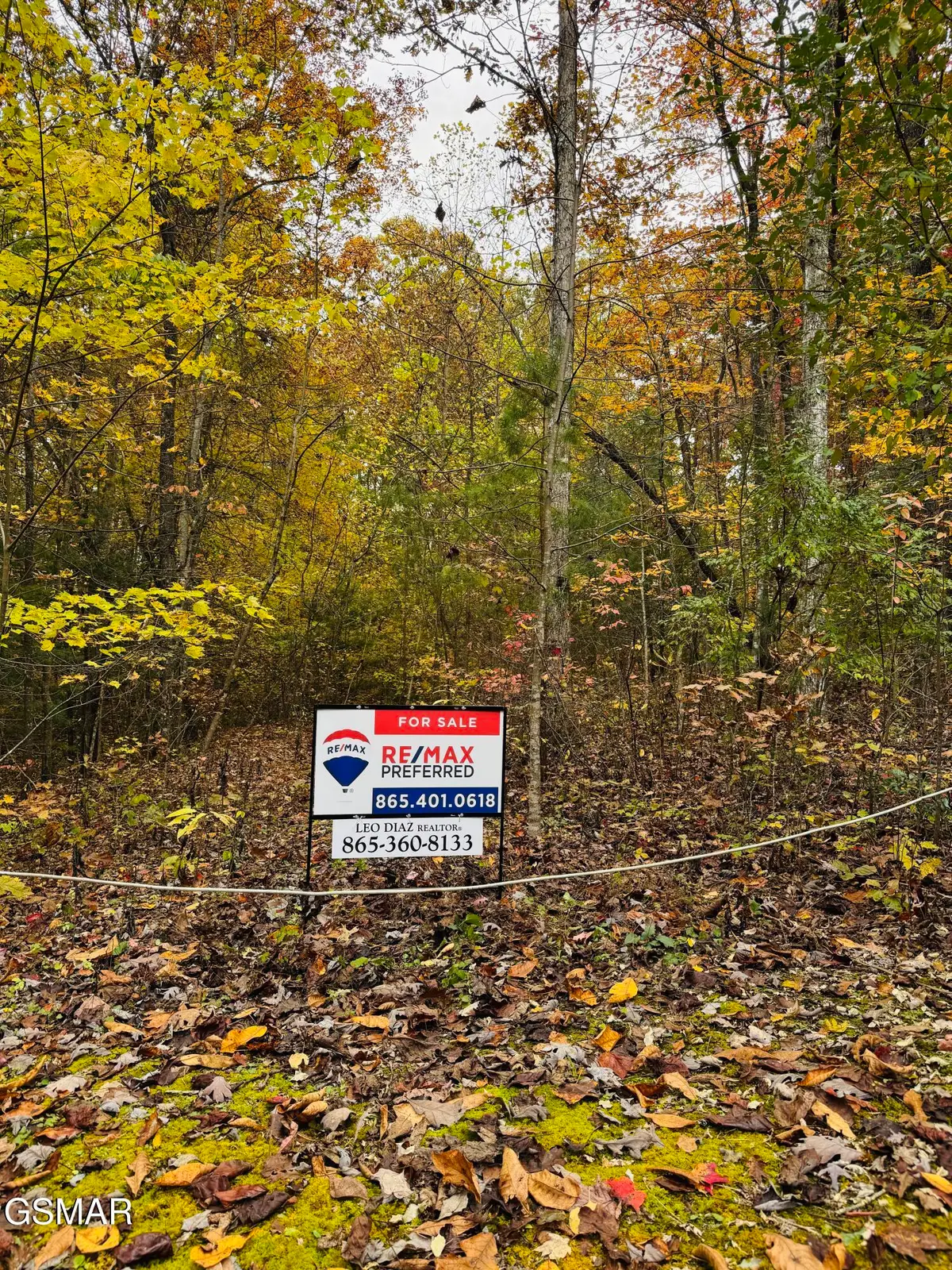 5905 Omega Drive Drive, Tallassee, TN 37878 - Image #1