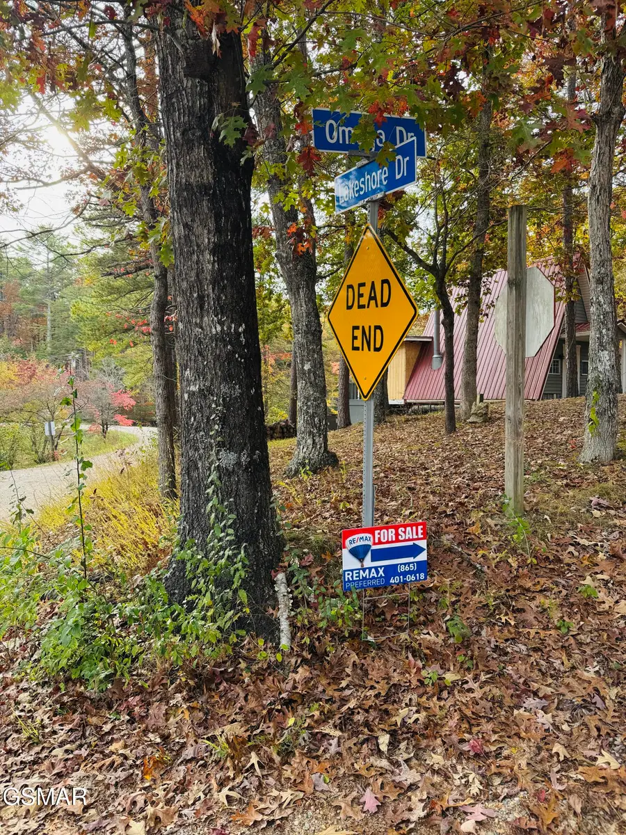 5905 Omega Drive Drive, Tallassee, TN 37878 - Image #3