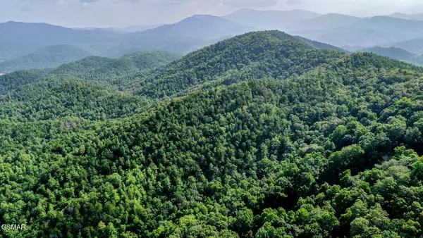 0 Bethel Church Road, Townsend, TN 37882