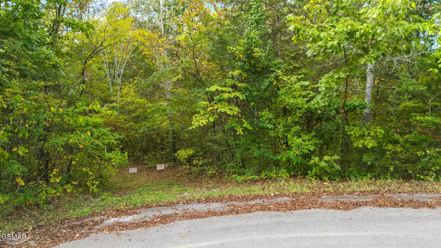 Lot 2 Cedar Hills Road, Sevierville, TN 37862 - Image #3
