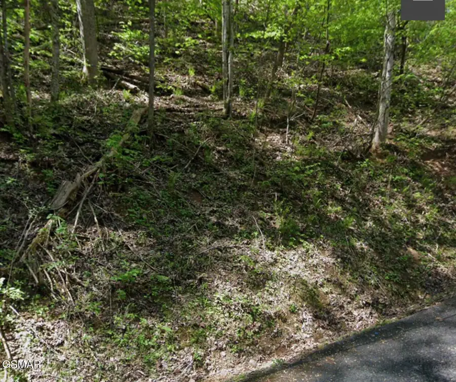Lot 331 Ridgefield Drive, Sevierville, TN 37876 - Image #3