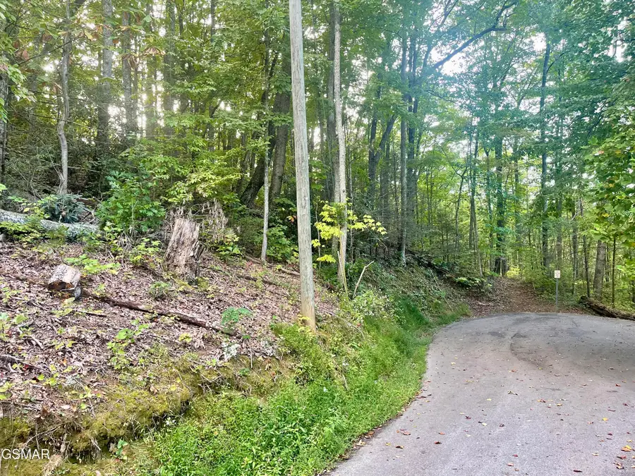 Lot 2 Carter Plaza, Gatlinburg, TN 37738 - Image #2