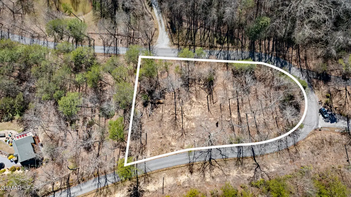 LOT 56 Cove Hollow Road, Cosby, TN 37722 - Image #1