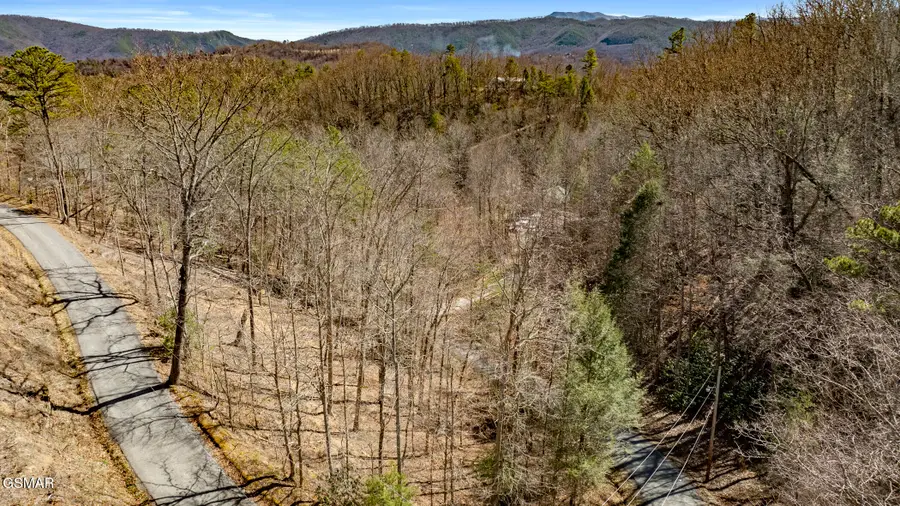 LOT 56 Cove Hollow Road, Cosby, TN 37722 - Image #2