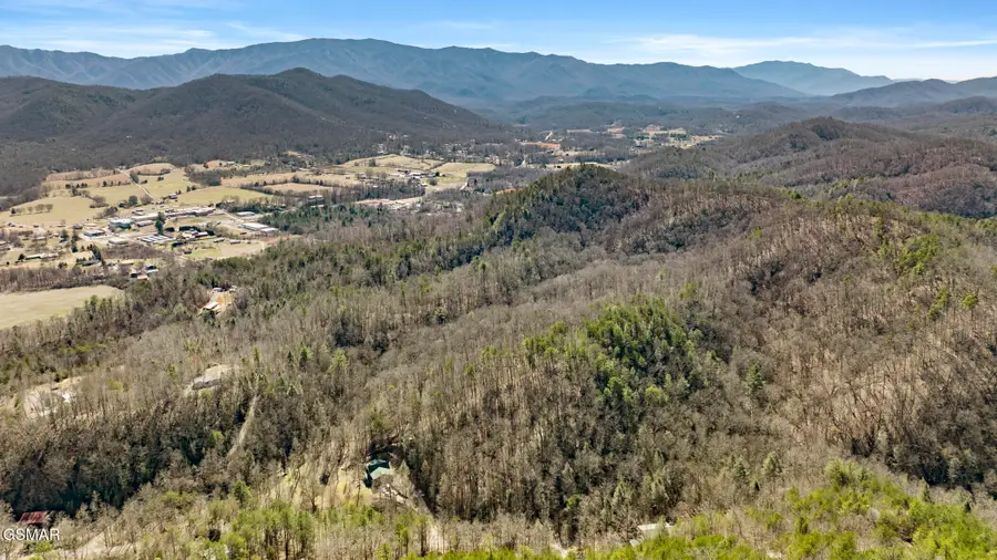 LOT 56 Cove Hollow Road, Cosby, TN 37722 - Image #3