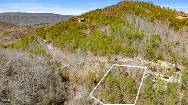 LOT 57 Cove Hollow Road, Cosby, TN 37722