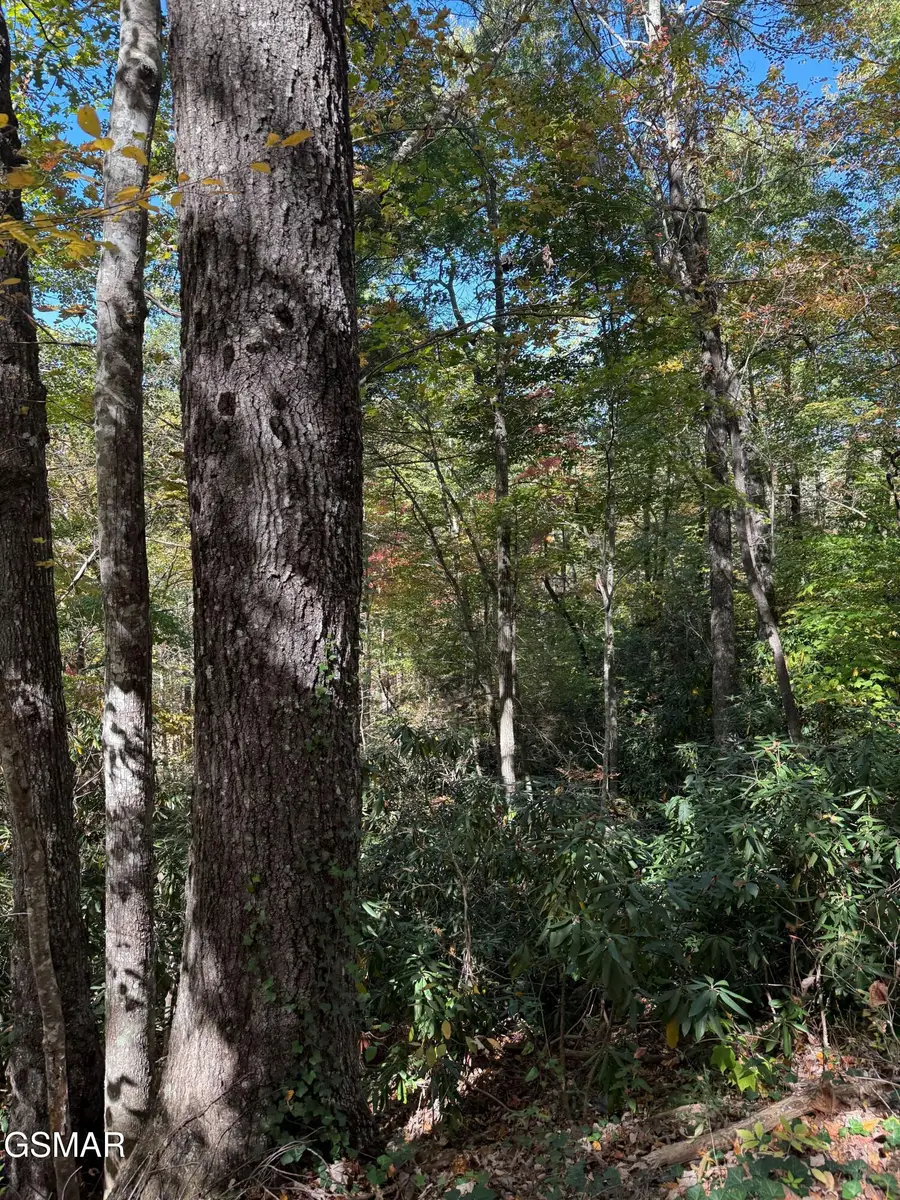 0 Ownby Circle, Gatlinburg, TN 37738 - Image #3