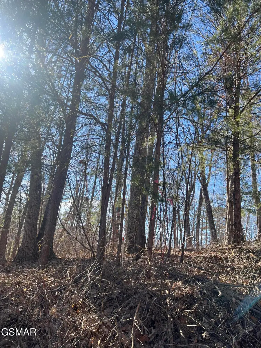 1012 Country Mountain Road, Cosby, TN 37722 - Image #2