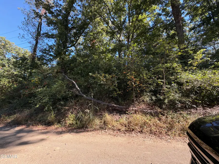 Lot 9 St Johns Drive, Dandridge, TN 37725 - Image #2