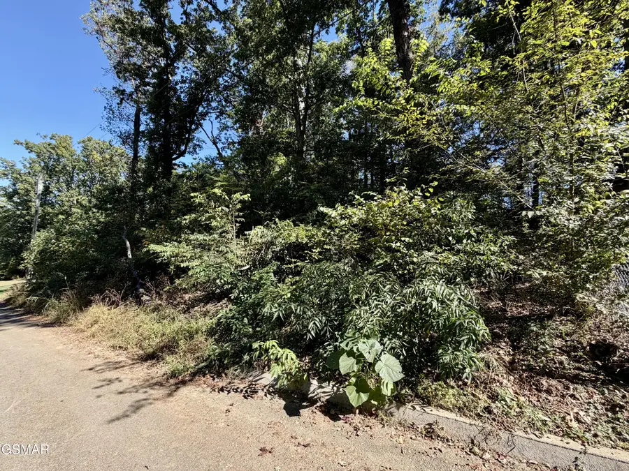 Lot 9 St Johns Drive, Dandridge, TN 37725 - Image #3