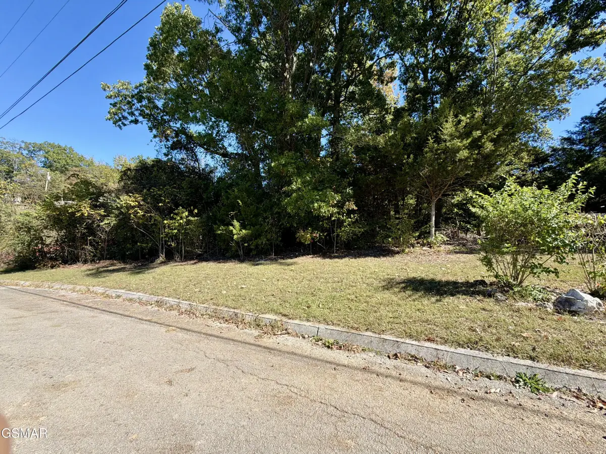 Lot 7 St Johns Drive, Dandridge, TN 37725 - Image #1