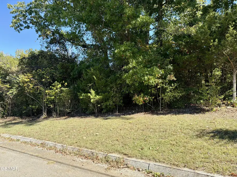 Lot 7 St Johns Drive, Dandridge, TN 37725 - Image #2