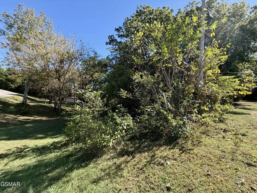 Lot 7 St Johns Drive, Dandridge, TN 37725 - Image #3