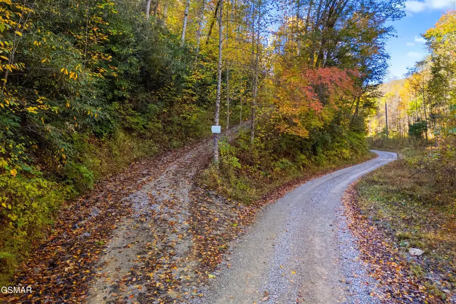 5.37 Acres Reece Hollow, Del Rio, TN 37727 - Image #2