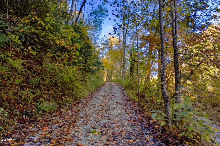 5.37 Acres Reece Hollow, Del Rio, TN 37727 - Image #3