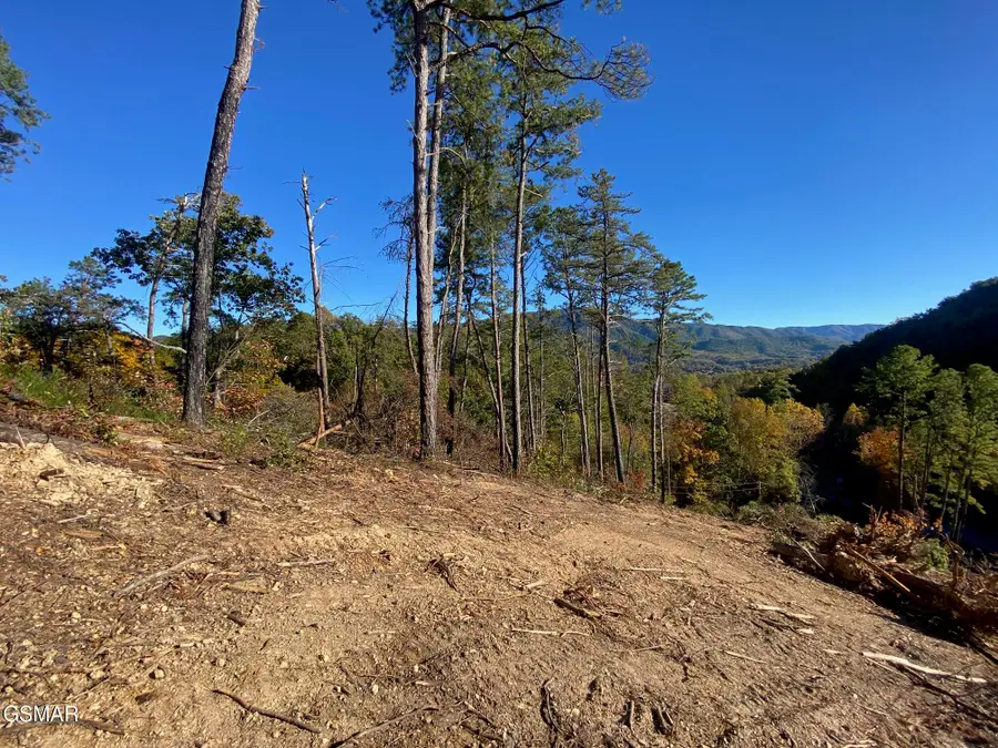 2947 Indigo Lane, Sevierville, TN 37862 - Image #3