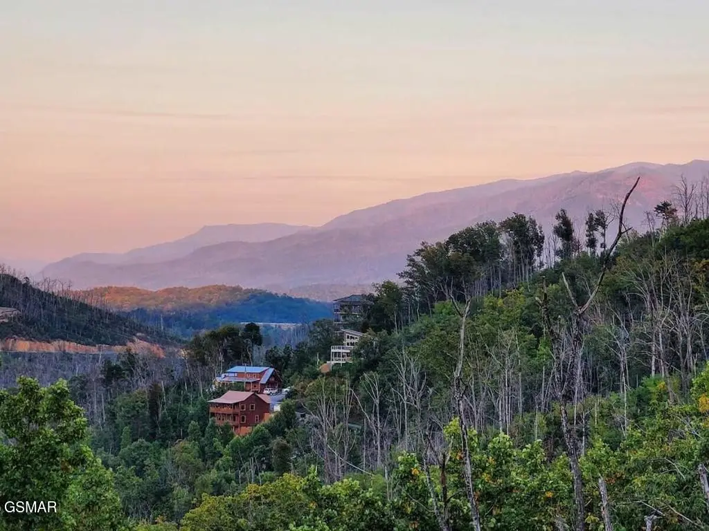 605 Wiley Oakley Drive, Gatlinburg, TN 37738 - #1