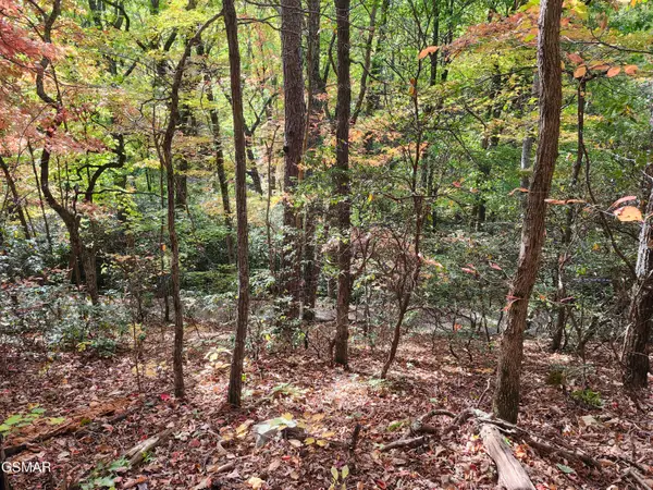 Lot 11 Bluff Mtn. Rd., Sevierville, TN 37876