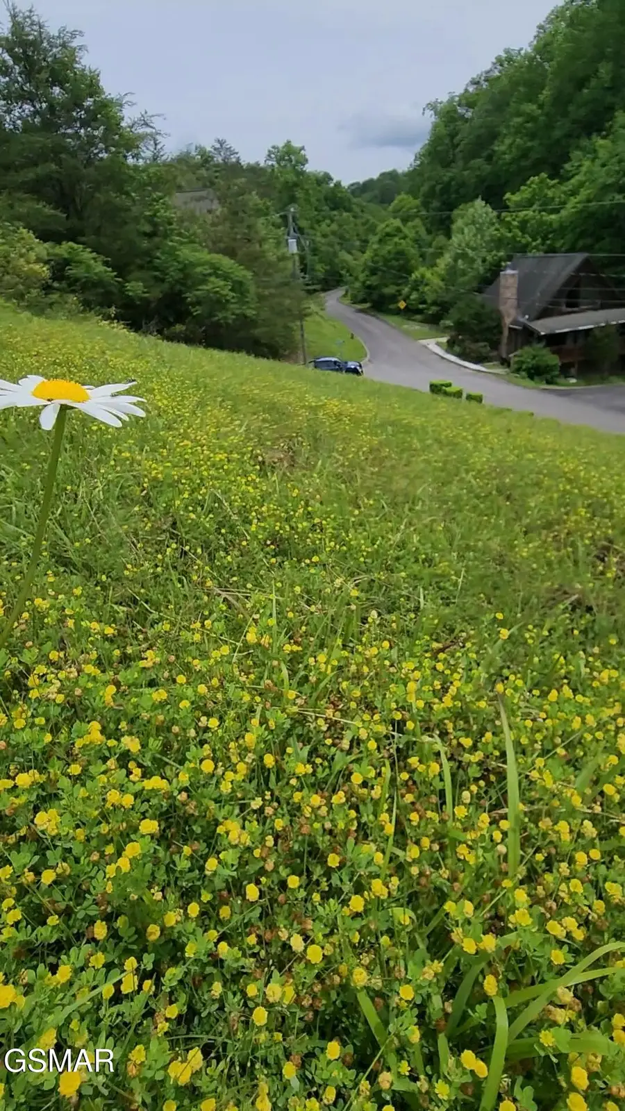 2089 Wingspan Dr Drive, Sevierville, TN 37876 - Image #2