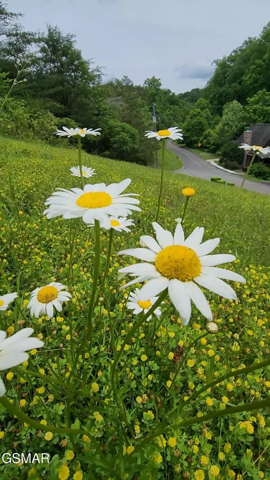 2089 Wingspan Dr Drive, Sevierville, TN 37876 - Image #3