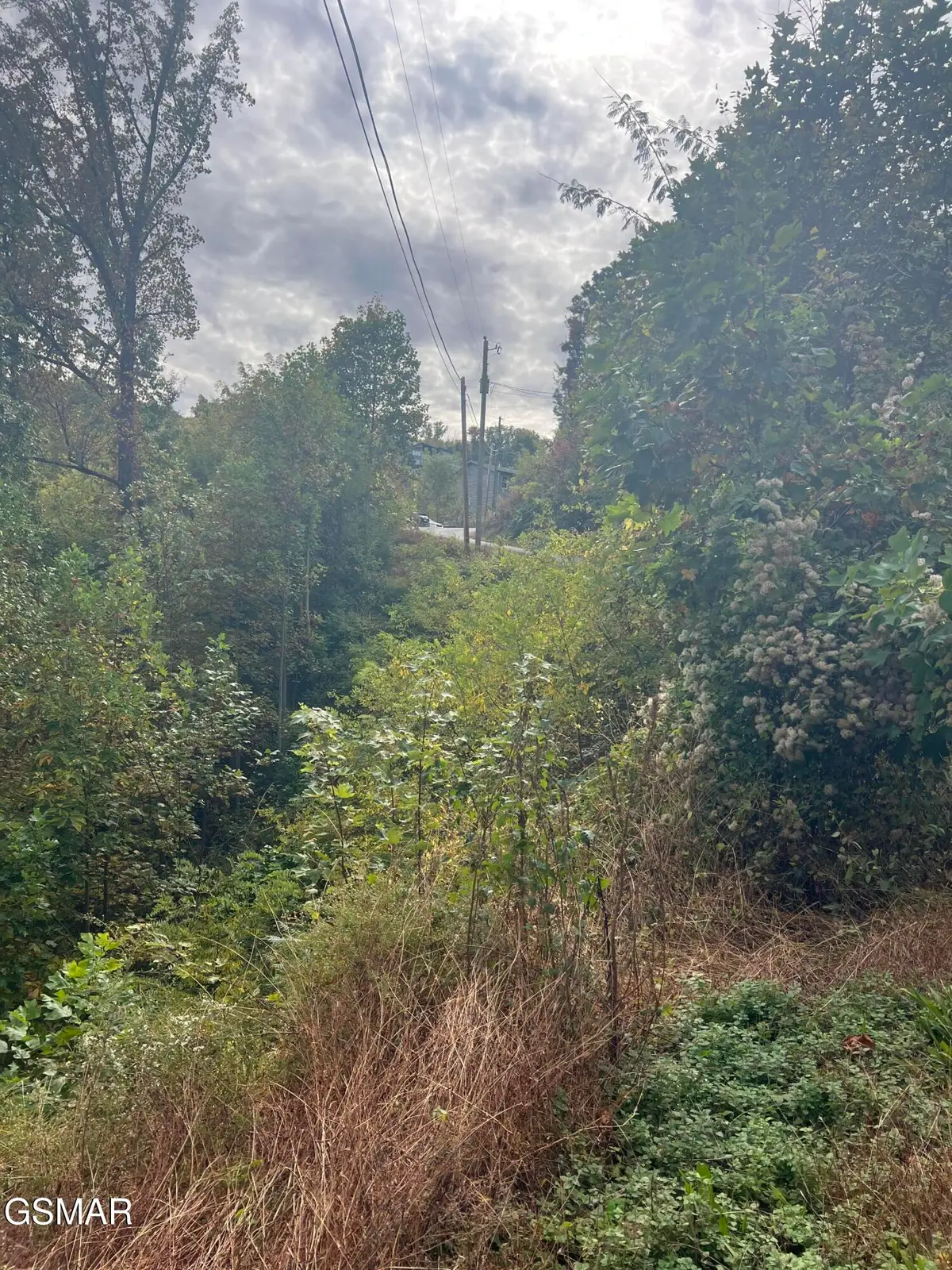 Lot 507 Pinecrest Drive, Gatlinburg, TN 37738 - Image #1