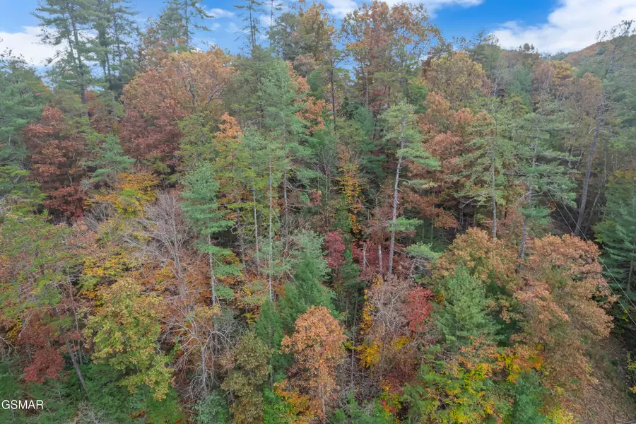 N Ball Hollow Rd, Sevierville, TN 37876 - Image #3
