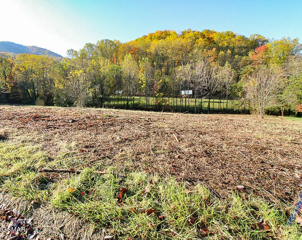 Lot 8 Thomas Headrick Road, Sevierville, TN 37862 - Image #1