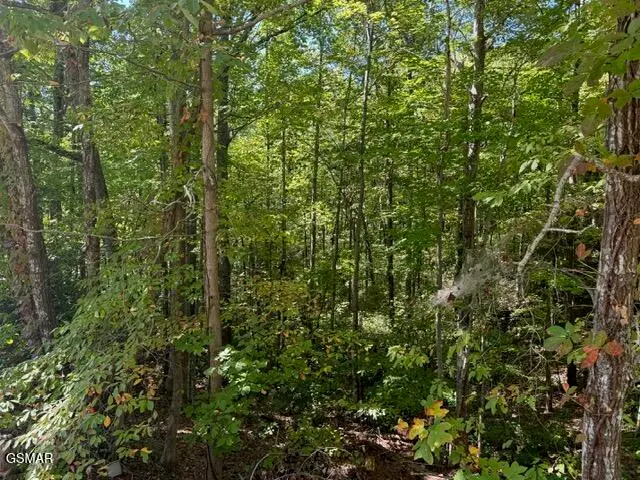 Lot 17 Deer Path Lane, Gatlinburg, TN 37738 - Image #2