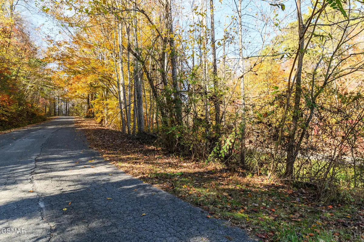Lot 1 Jones Cove Road, Cosby, TN 37722 - Image #1