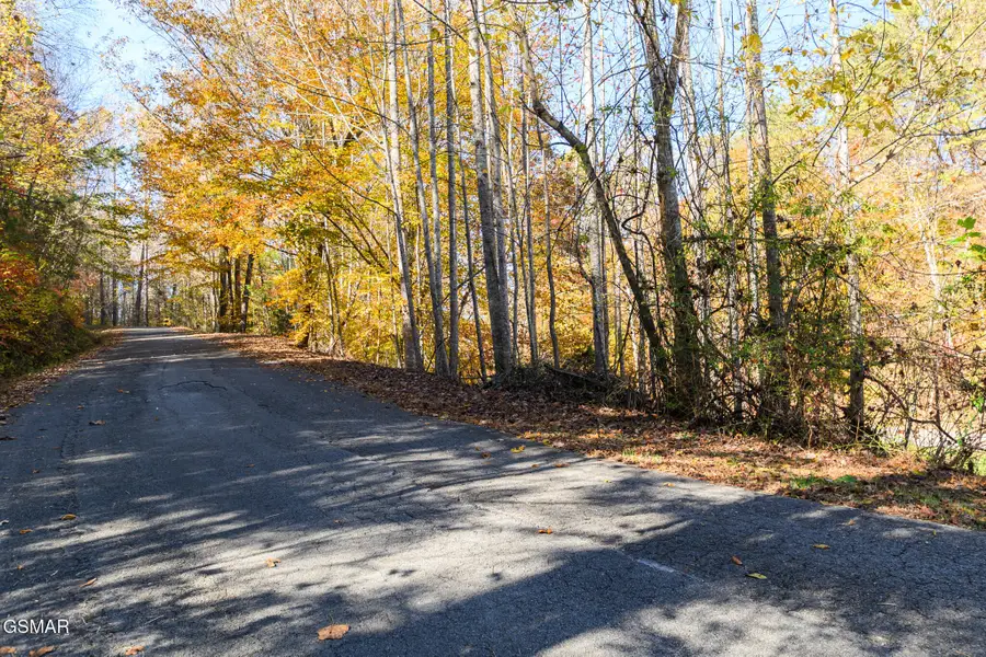 Lot 1 Jones Cove Road, Cosby, TN 37722 - Image #2
