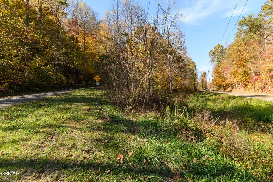 Lot 1 Jones Cove Road, Cosby, TN 37722 - Image #3