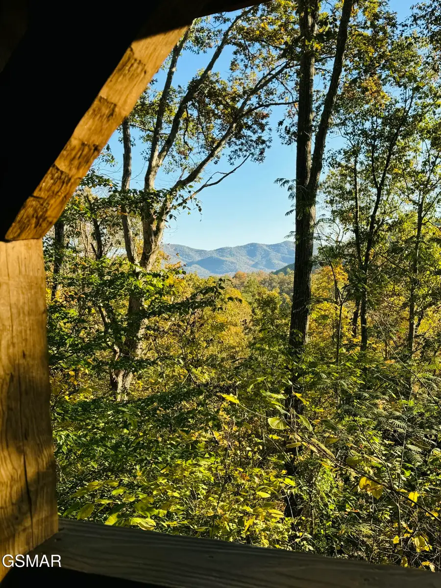 147 Timberwinds Way, Townsend, TN 37882 - Image #2