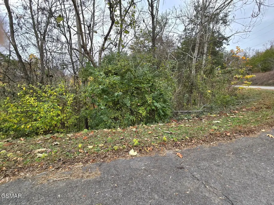 Lot 17 Scott Street, Sevierville, TN 37876 - Image #2