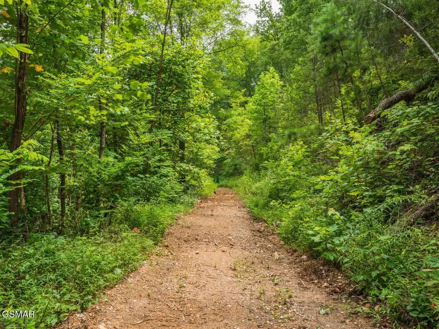 2119 Spurling Road Road, Sevierville, TN 37862 - #3