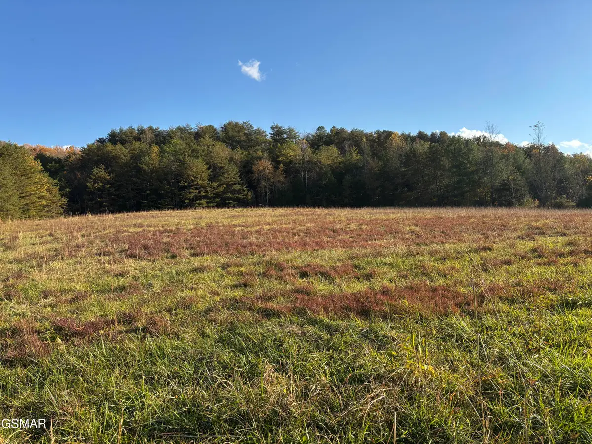 Lot 2 Long Creek Road, Parrottsville, TN 37843 - Image #1