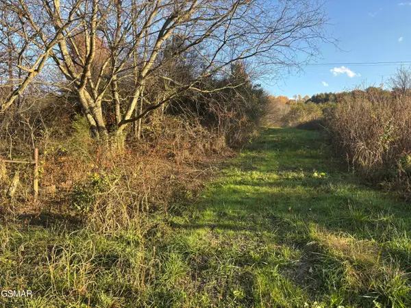 Lot 3 Long Creek Road, Parrottsville, TN 37843