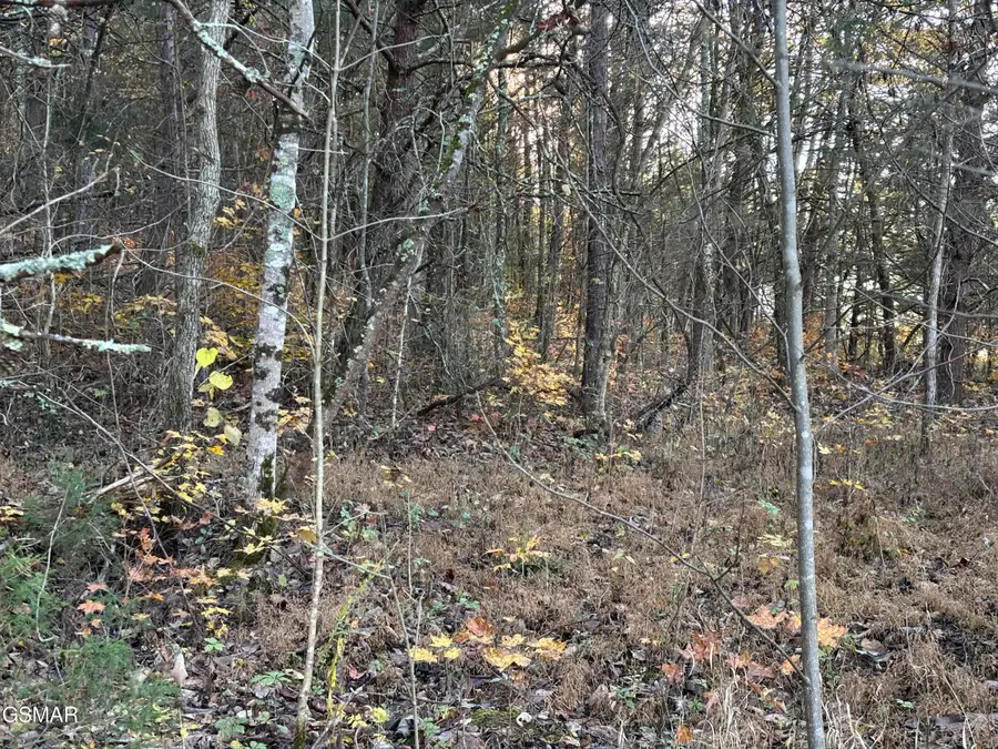 Lot 3 Long Creek Road, Parrottsville, TN 37843 - Image #3