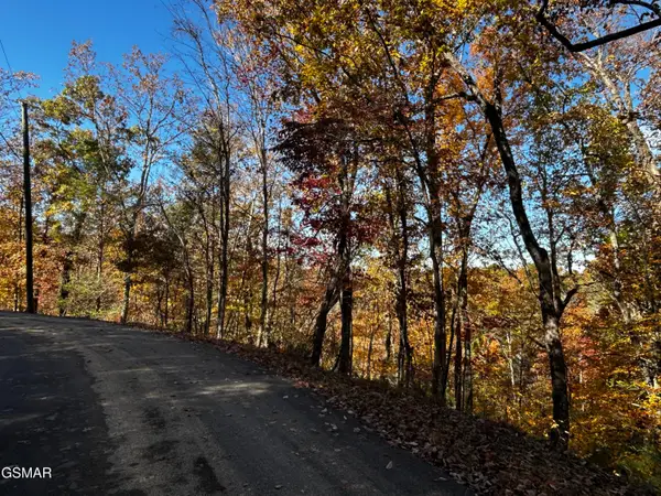 0 Monte Wood Circle, Pigeon Forge, TN 37863