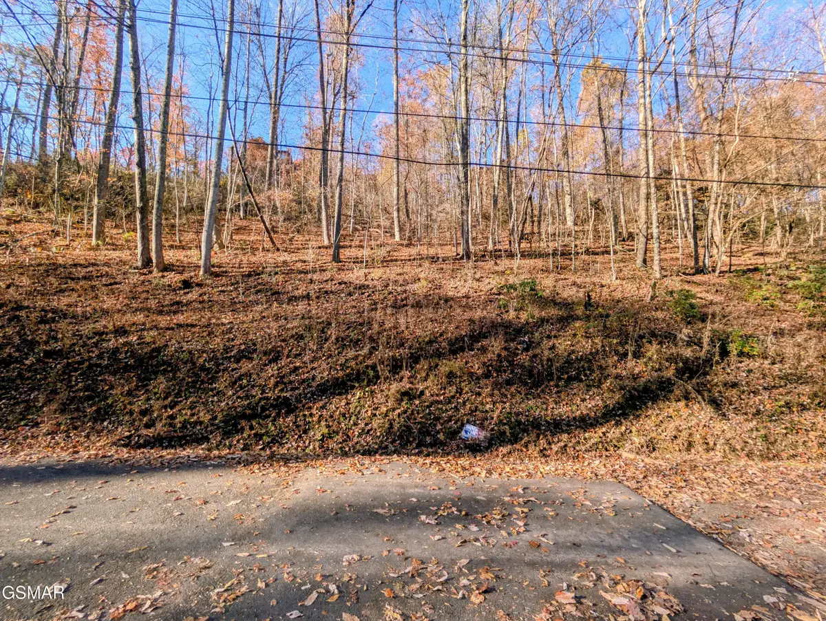 Lot 1273 Raymond Hollow Road, Sevierville, TN 37876 - Image #1