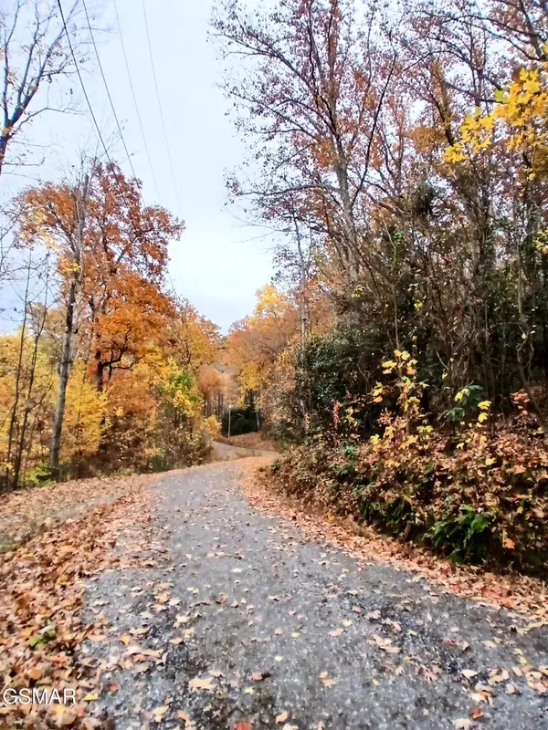 Lot 3 Rocky Ridge Road, Cosby, TN 37722