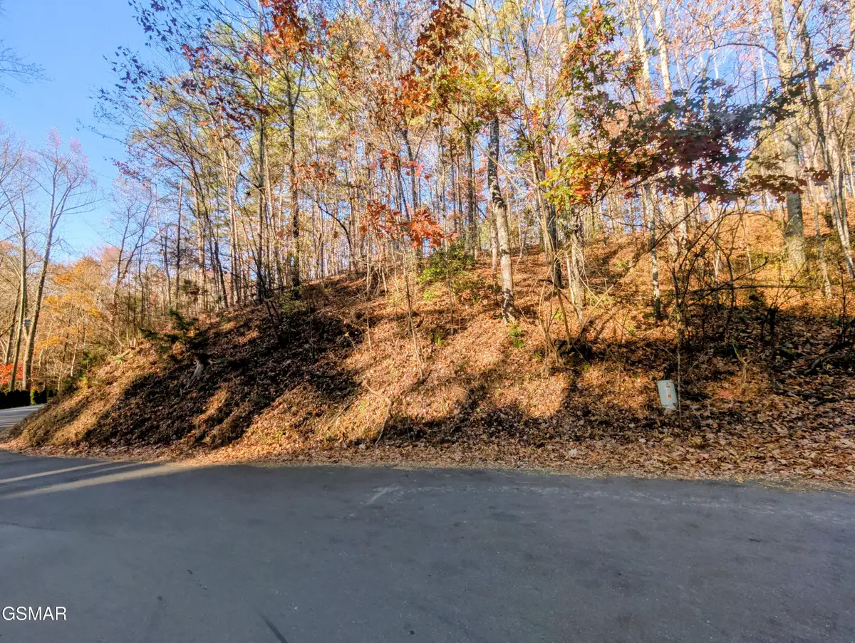 Lot 483 School House Gap Road, Sevierville, TN 37876 - Image #1