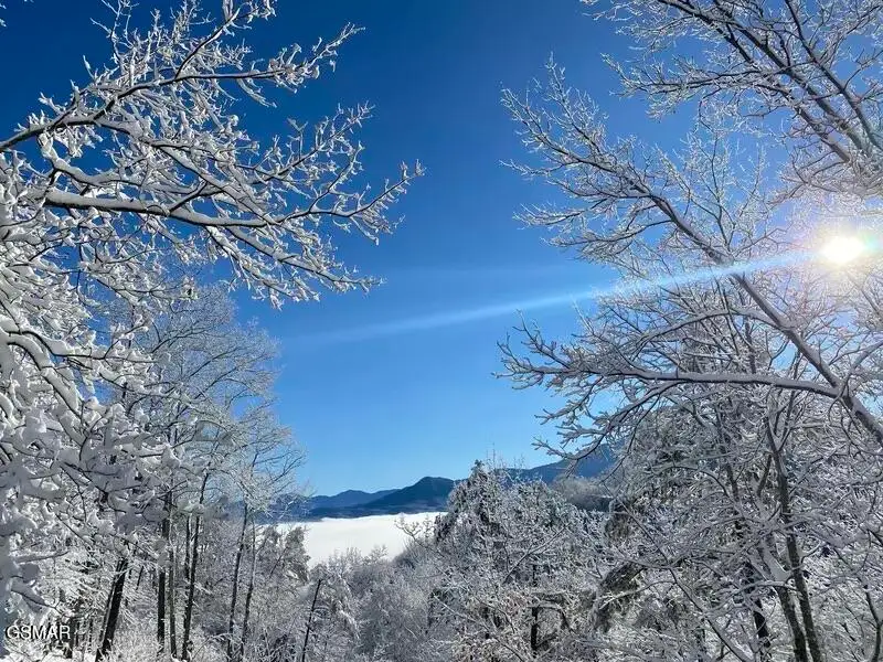 1059 Lower Alpine Way, Gatlinburg, TN 37738 - Image #3