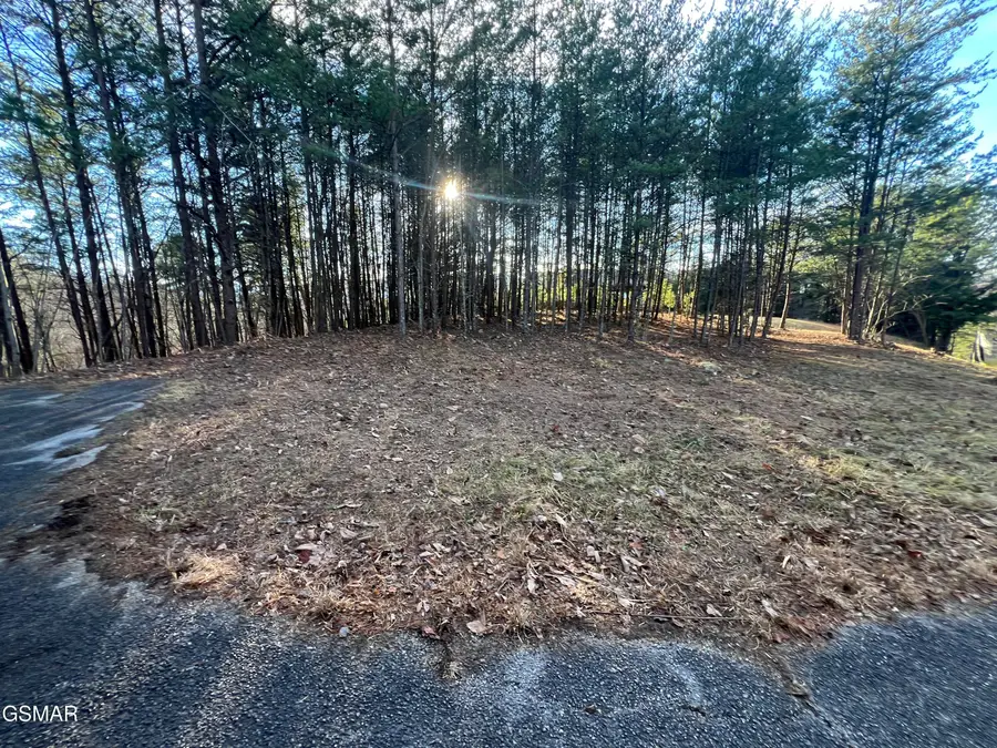 0 Sassafras Trail Trail, Sevierville, TN 37876 - Image #3