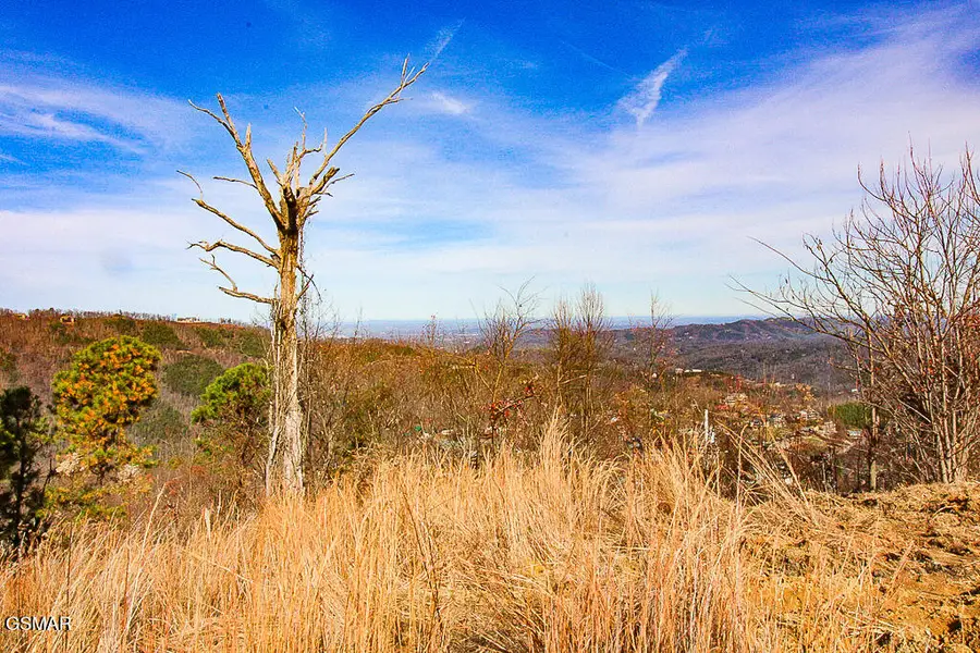 915 Piney Butt Way, Gatlinburg, TN 37738 - Image #2