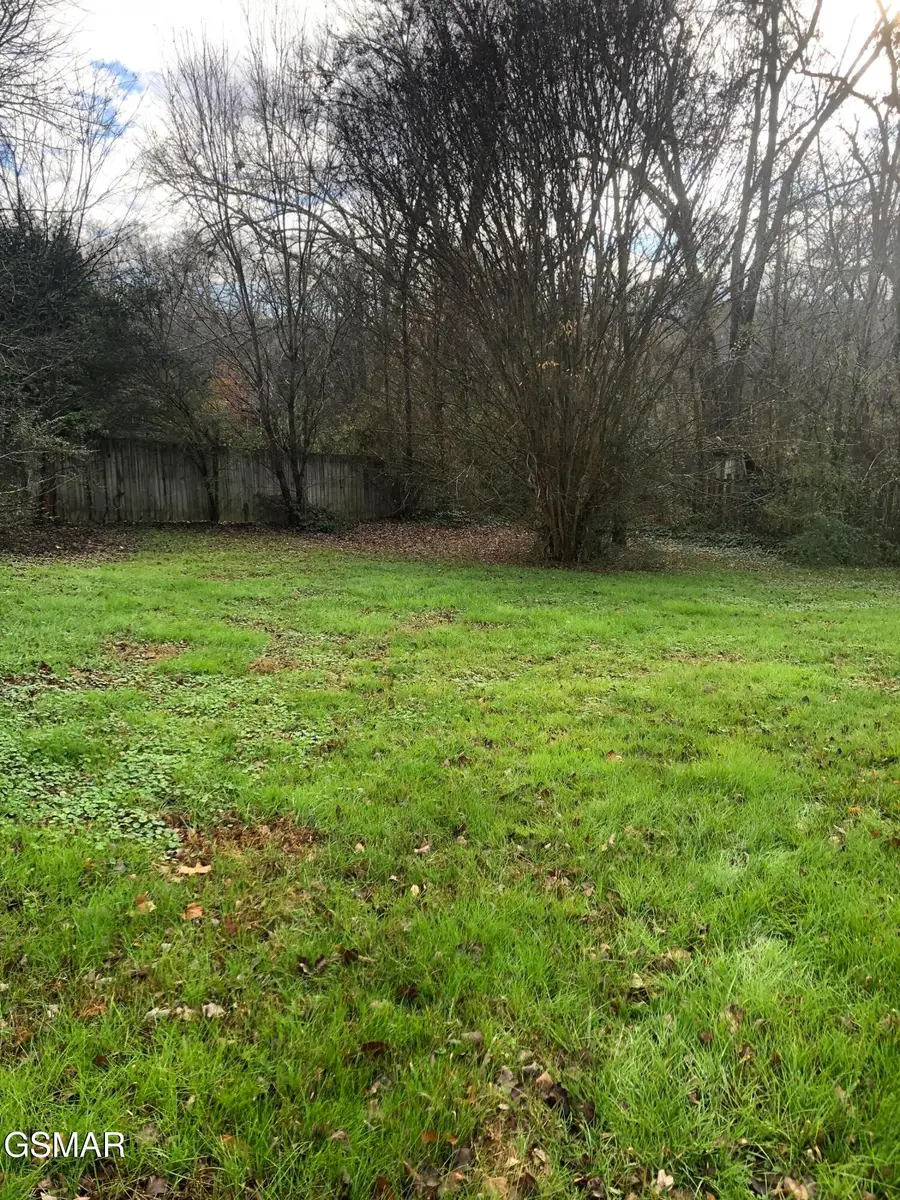 1800 Frankie Lane, Sevierville, TN 37876 - Image #2