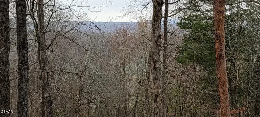 Lot 1427 Hillside Place, White Pine, TN 37890 - Image #2