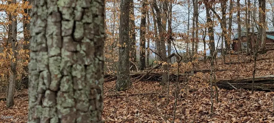 Lot 1427 Hillside Place, White Pine, TN 37890 - Image #3